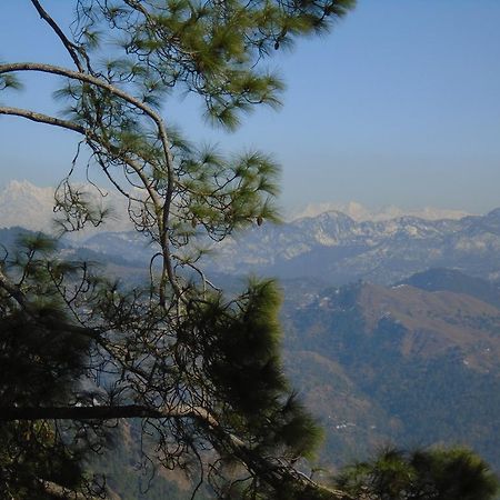 New Dolma Hotel Almora Extérieur photo