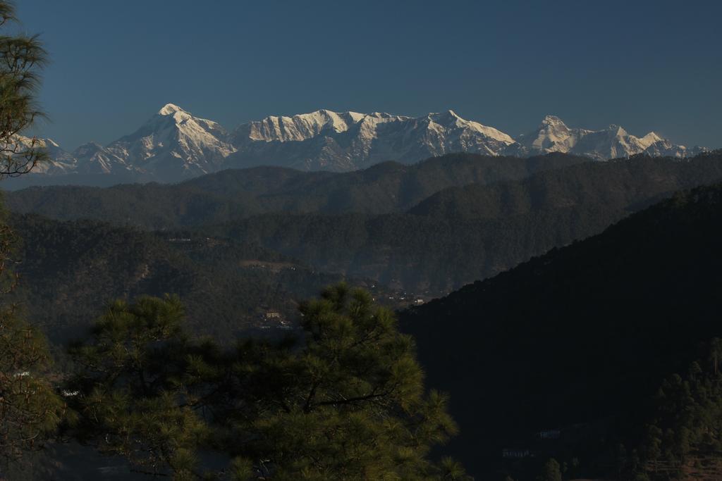 New Dolma Hotel Almora Extérieur photo